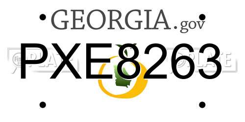 PXE8263 Georgia License Plate