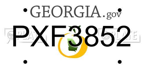 PXF3852 Georgia License Plate