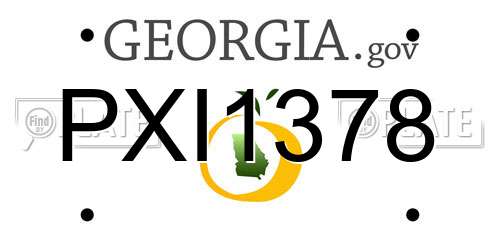 PXI1378 Georgia License Plate