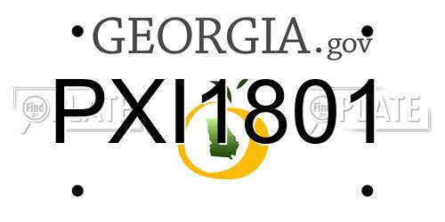 PXI1801 Georgia License Plate