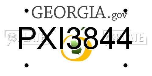 PXI3844 Georgia License Plate