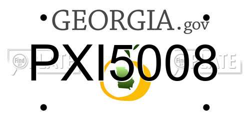 PXI5008 Georgia License Plate