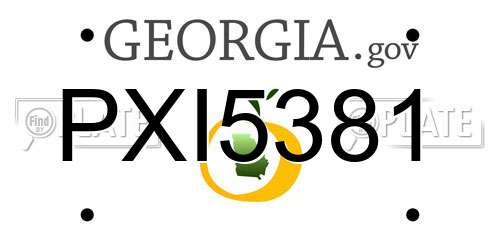 PXI5381 Georgia License Plate