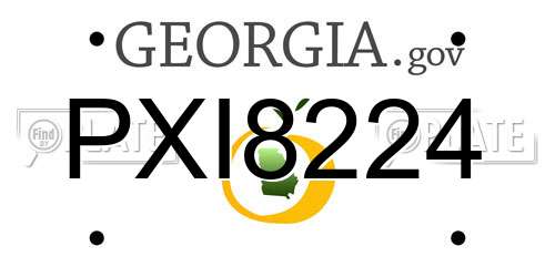 PXI8224 Georgia License Plate