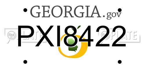 PXI8422 Georgia License Plate