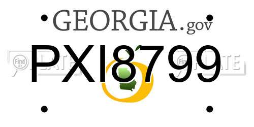 PXI8799 Georgia License Plate