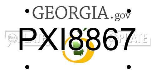 PXI8867 Georgia License Plate