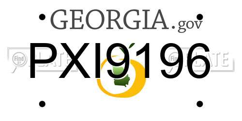 PXI9196 Georgia License Plate