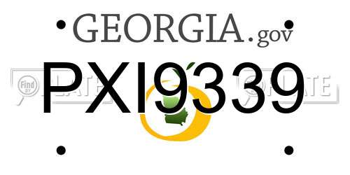 PXI9339 Georgia License Plate