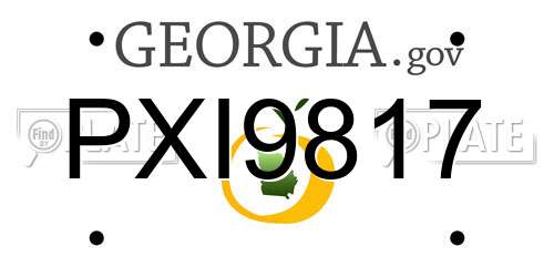 PXI9817 Georgia License Plate