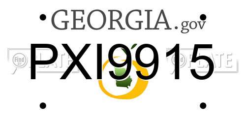 PXI9915 Georgia License Plate