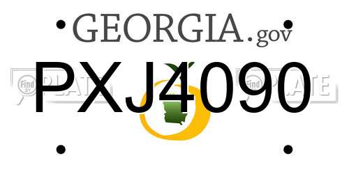 PXJ4090 Georgia License Plate