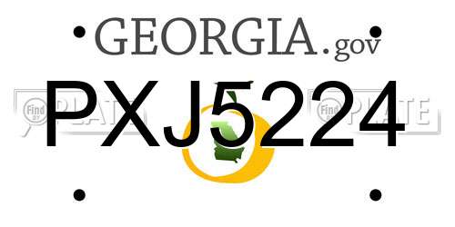 PXJ5224 Georgia License Plate