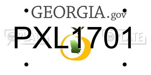 PXL1701 Georgia License Plate