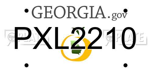 PXL2210 Georgia License Plate