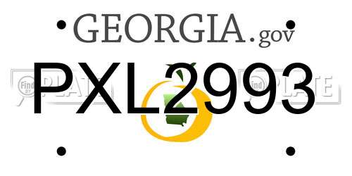 PXL2993 Georgia License Plate