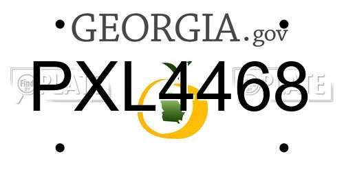PXL4468 Georgia License Plate