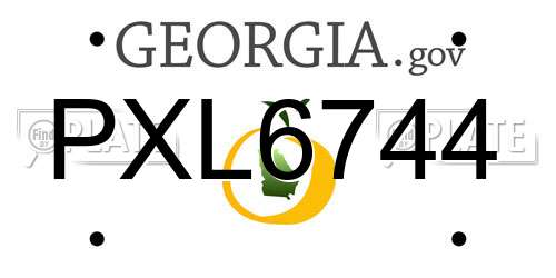PXL6744 Georgia License Plate