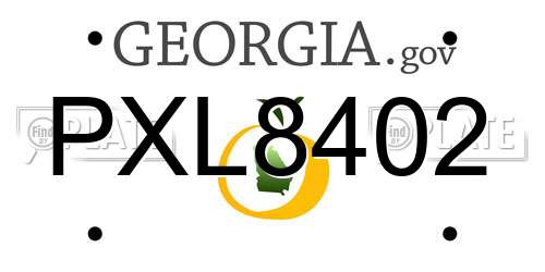 PXL8402 Georgia License Plate