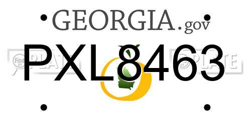 PXL8463 Georgia License Plate