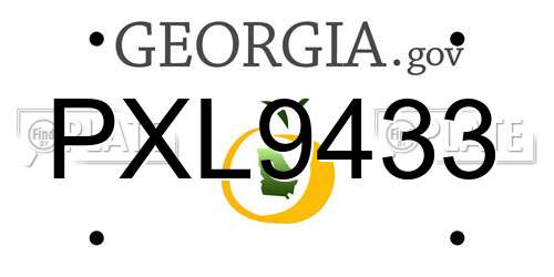 PXL9433 Georgia License Plate