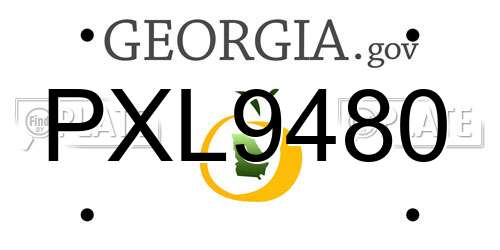 PXL9480 Georgia License Plate