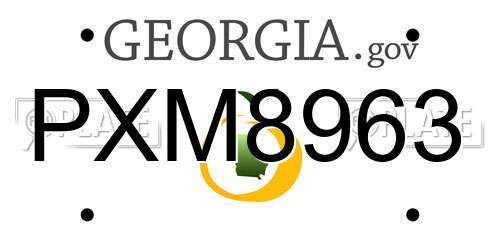 PXM8963 Georgia License Plate