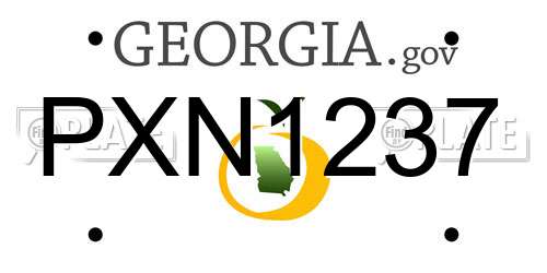 PXN1237 Georgia License Plate