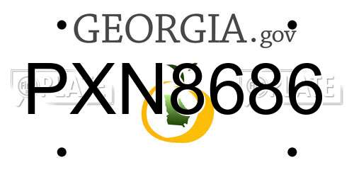 PXN8686 Georgia License Plate