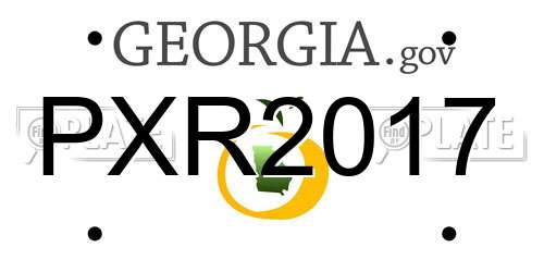 PXR2017 Georgia License Plate