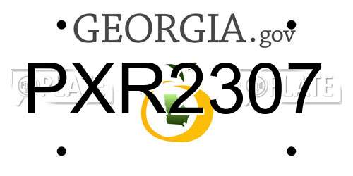 PXR2307 Georgia License Plate