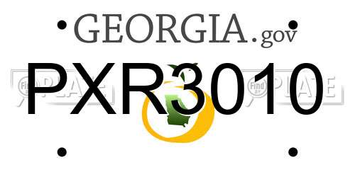 PXR3010 Georgia License Plate