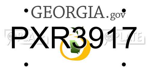 PXR3917 Georgia License Plate