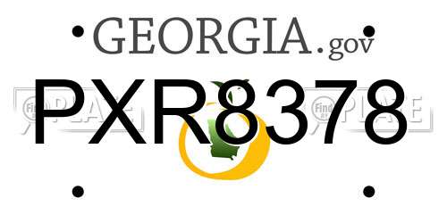 PXR8378 Georgia License Plate