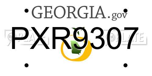 PXR9307 Georgia License Plate