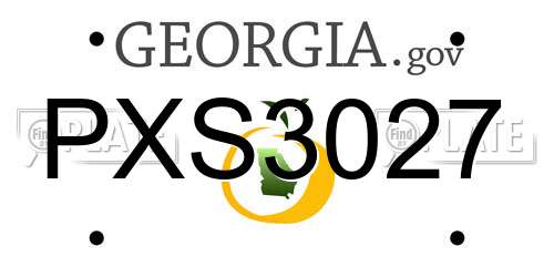 PXS3027 Georgia License Plate