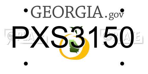 PXS3150 Georgia License Plate