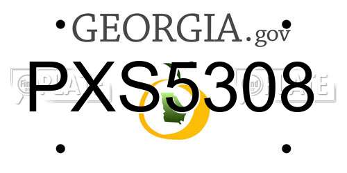 PXS5308 Georgia License Plate