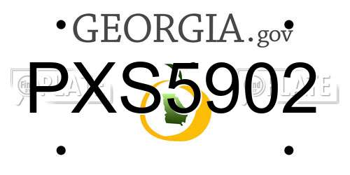 PXS5902 Georgia License Plate