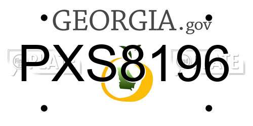 PXS8196 Georgia License Plate
