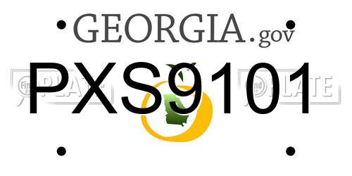 PXS9101 Georgia License Plate