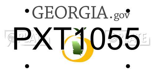 PXT1055 Georgia License Plate