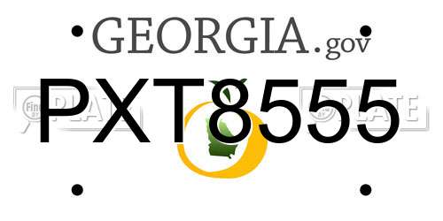 PXT8555 Georgia License Plate