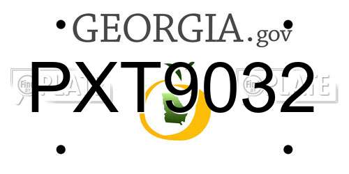 PXT9032 Georgia License Plate