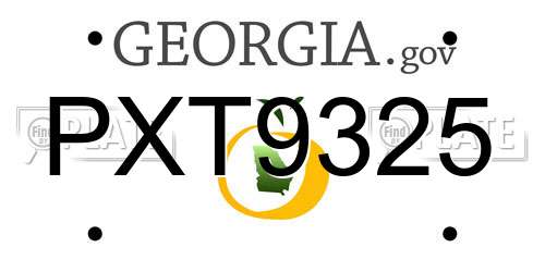 PXT9325 Georgia License Plate