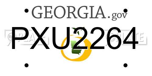 PXU2264 Georgia License Plate