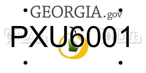 PXU6001 Georgia License Plate