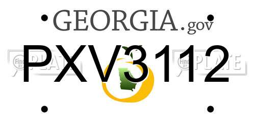 PXV3112 Georgia License Plate