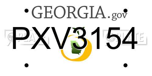 PXV3154 Georgia License Plate
