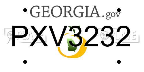 PXV3232 Georgia License Plate